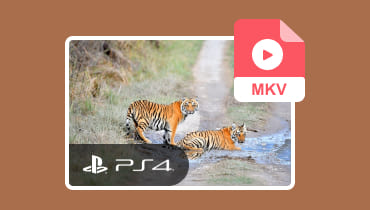 Lire MKV sur la Play Station 4 de Sony