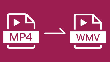 3 façons simples de convertir MP4 en WMV sur Windows et Mac