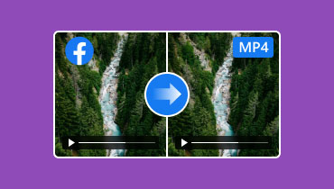 Les 5 meilleurs convertisseurs Facebook MP4 hors ou en ligne gratuits