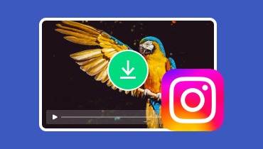 Les 5 meilleurs moyens de télécharger la vidéo Instagram gratuitement