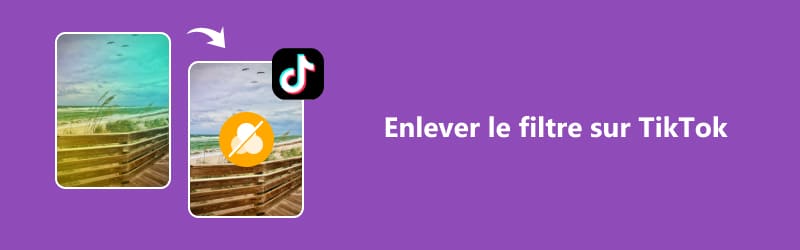 Enlever le filtre TikTok