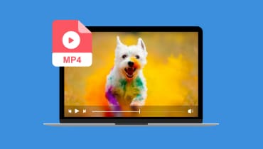 Comment ajouter des sous-titres aux vidéos MP4 gratuitement sur PC/Mac