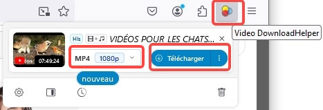 Télécharger la vidéo avec Video DownloadHelper