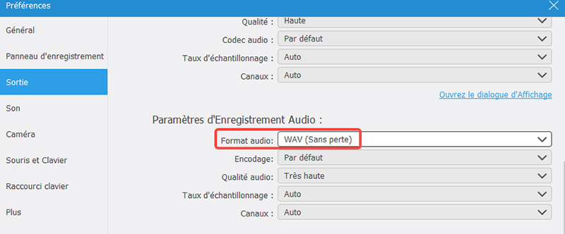 Choisir le format audio