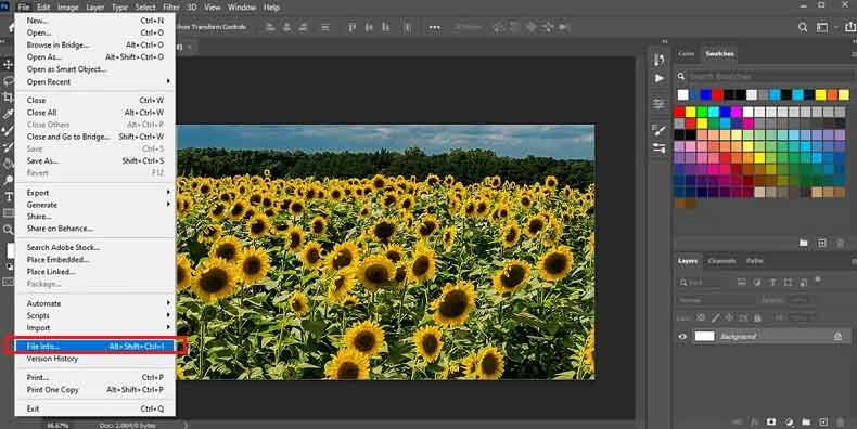 Afficher les métadonnées sur Photoshop